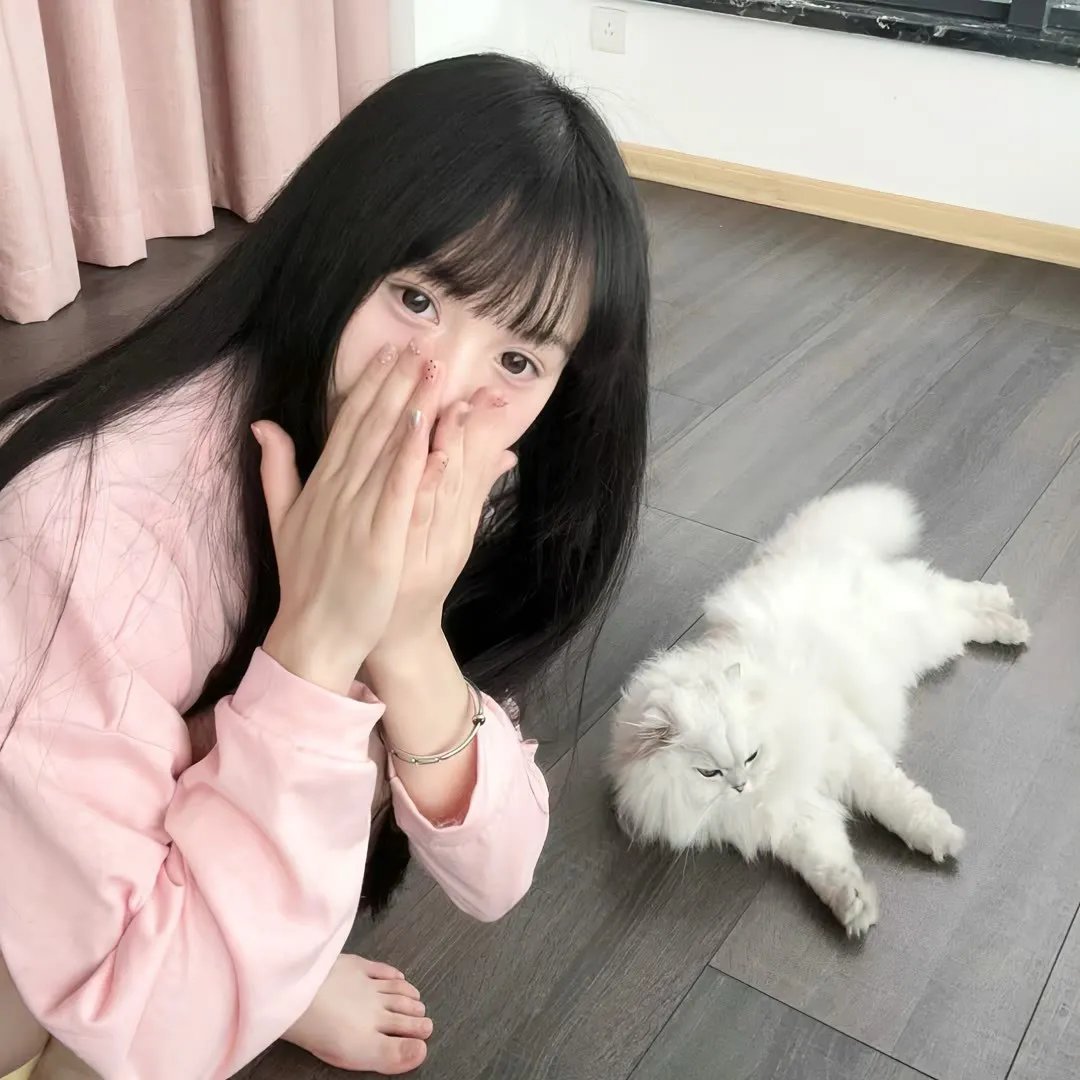 一只小蜘蛛